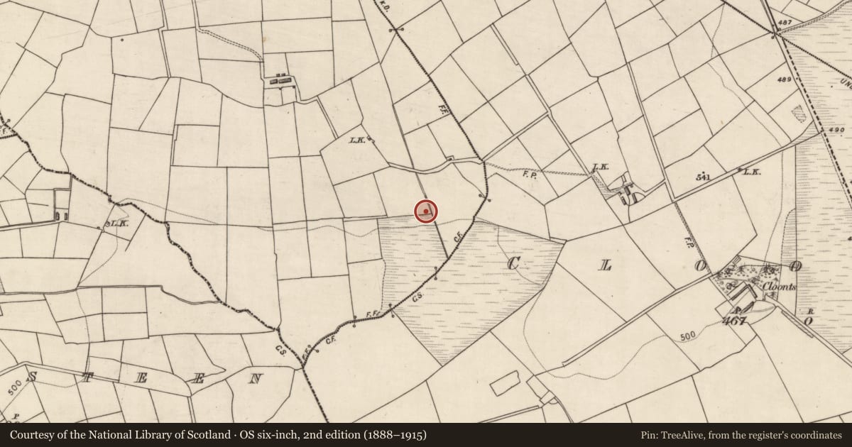 Ordnance Survey six-inch map, 2nd edition (1888–1915) covering the location of Burnt spread, Islandearagh, County Kerry, with a pin at the register's coordinates