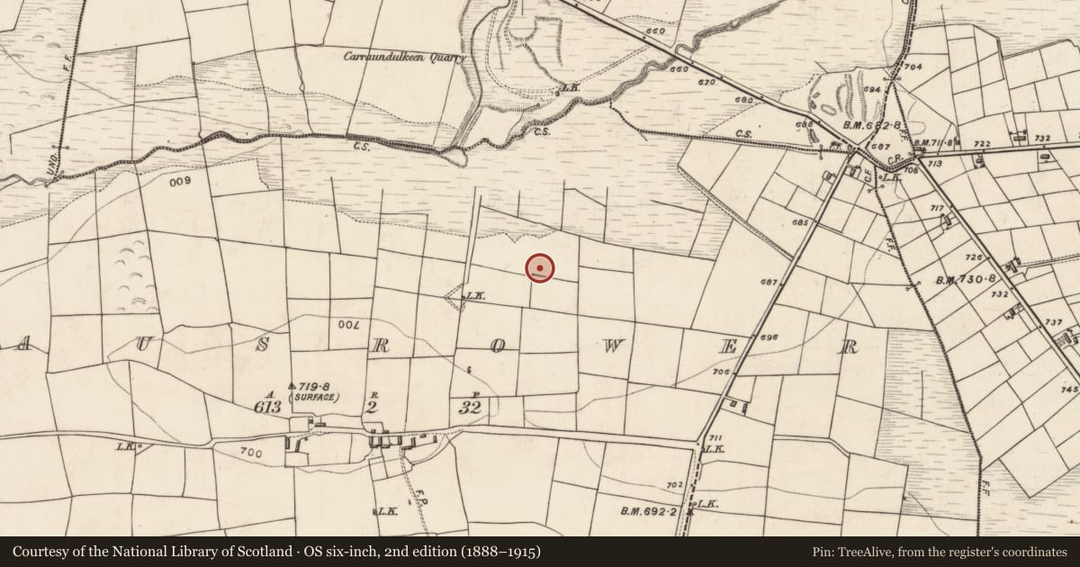 Ordnance Survey six-inch map, 2nd edition (1888–1915) covering the location of Fulacht fia, Mausrower, County Kerry, with a pin at the register's coordinates