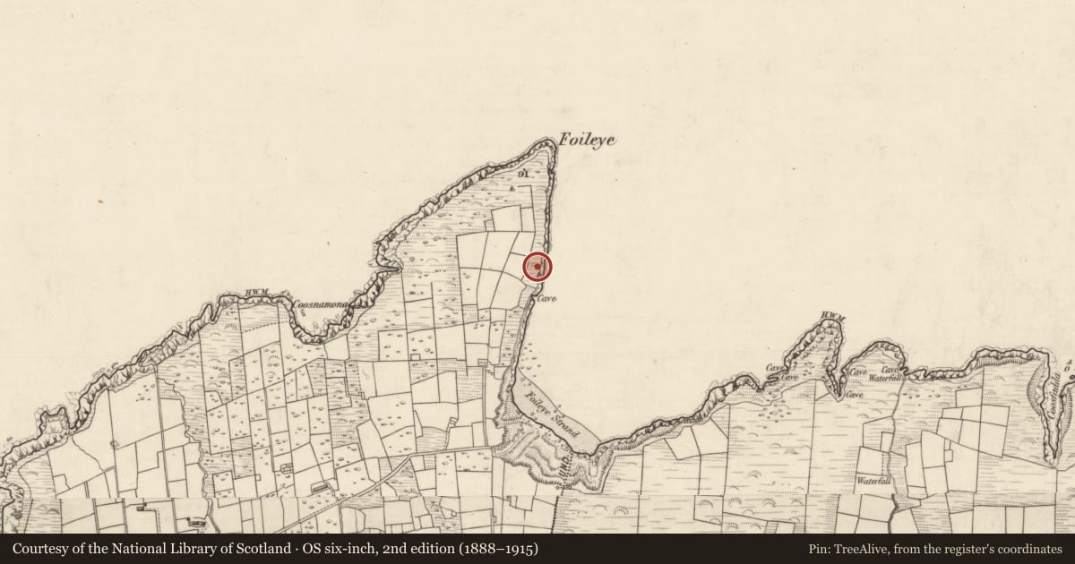Ordnance Survey six-inch map, 2nd edition (1888–1915) covering the location of Hut site, Roads, County Kerry, with a pin at the register's coordinates