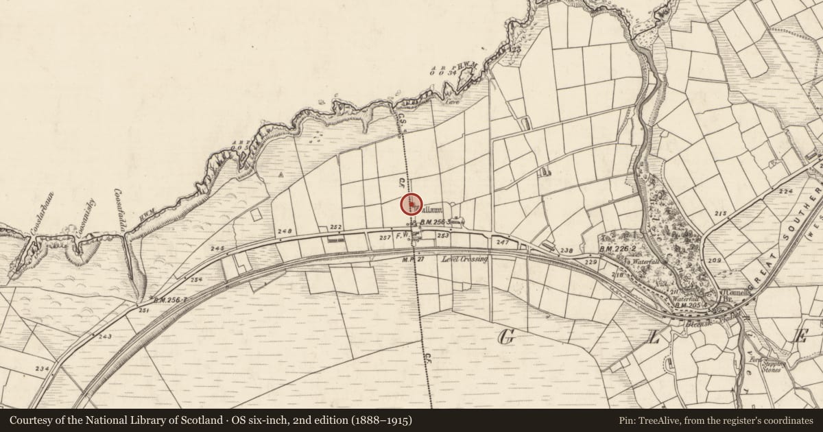 Ordnance Survey six-inch map, 2nd edition (1888–1915) covering the location of Standing stone, Gleensk, County Kerry, with a pin at the register's coordinates
