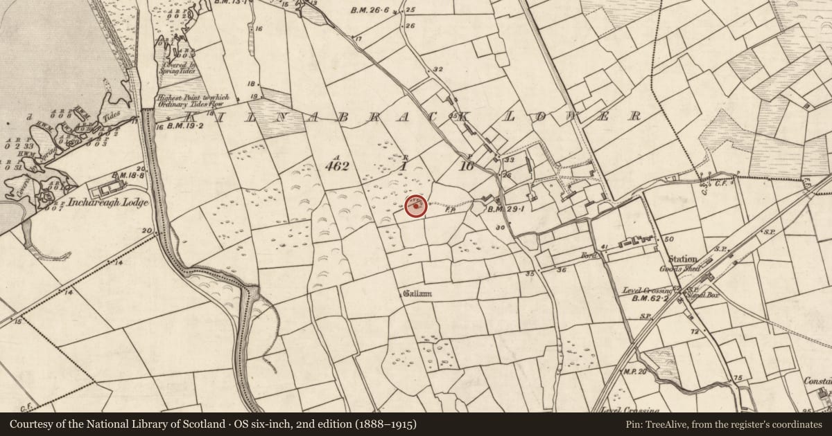 Ordnance Survey six-inch map, 2nd edition (1888–1915) covering the location of Ringfort - rath, Kilnabrack Lower, County Kerry, with a pin at the register's coordinates