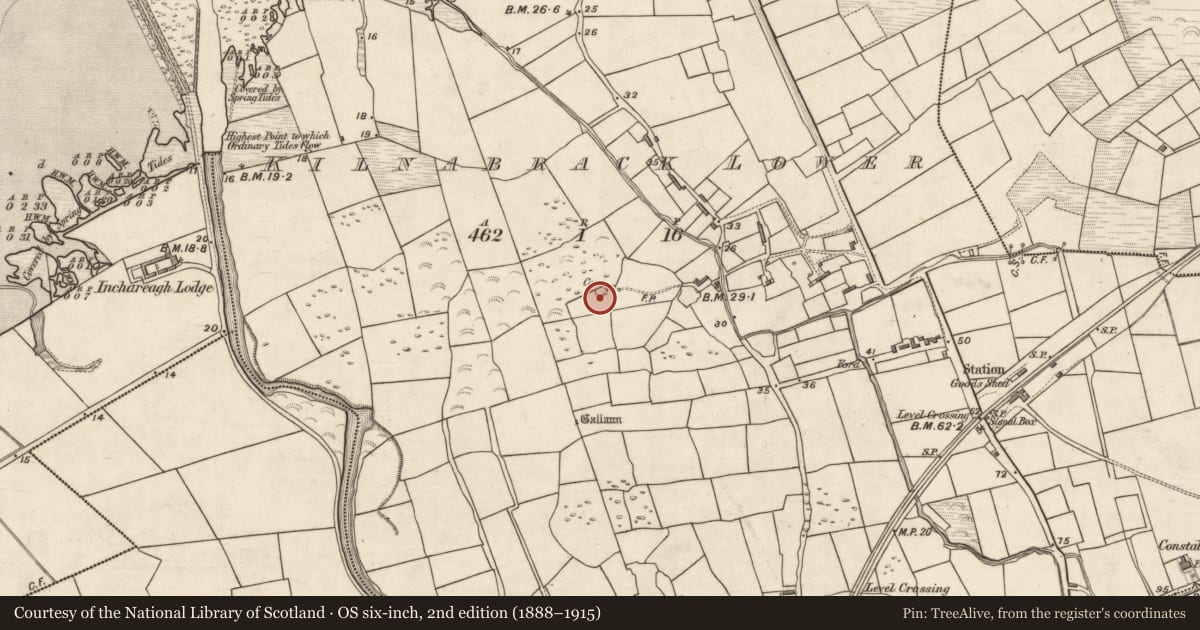 Ordnance Survey six-inch map, 2nd edition (1888–1915) covering the location of Souterrain, Kilnabrack Lower, County Kerry, with a pin at the register's coordinates
