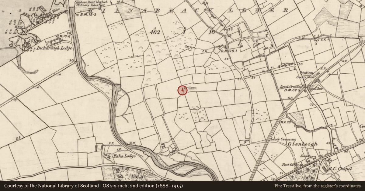 Ordnance Survey six-inch map, 2nd edition (1888–1915) covering the location of Standing stone - pair, Kilnabrack Lower, County Kerry, with a pin at the register's coordinates