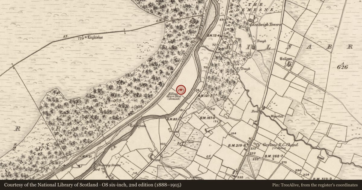 Ordnance Survey six-inch map, 2nd edition (1888–1915) covering the location of Cross-slab, Curra, County Kerry, with a pin at the register's coordinates