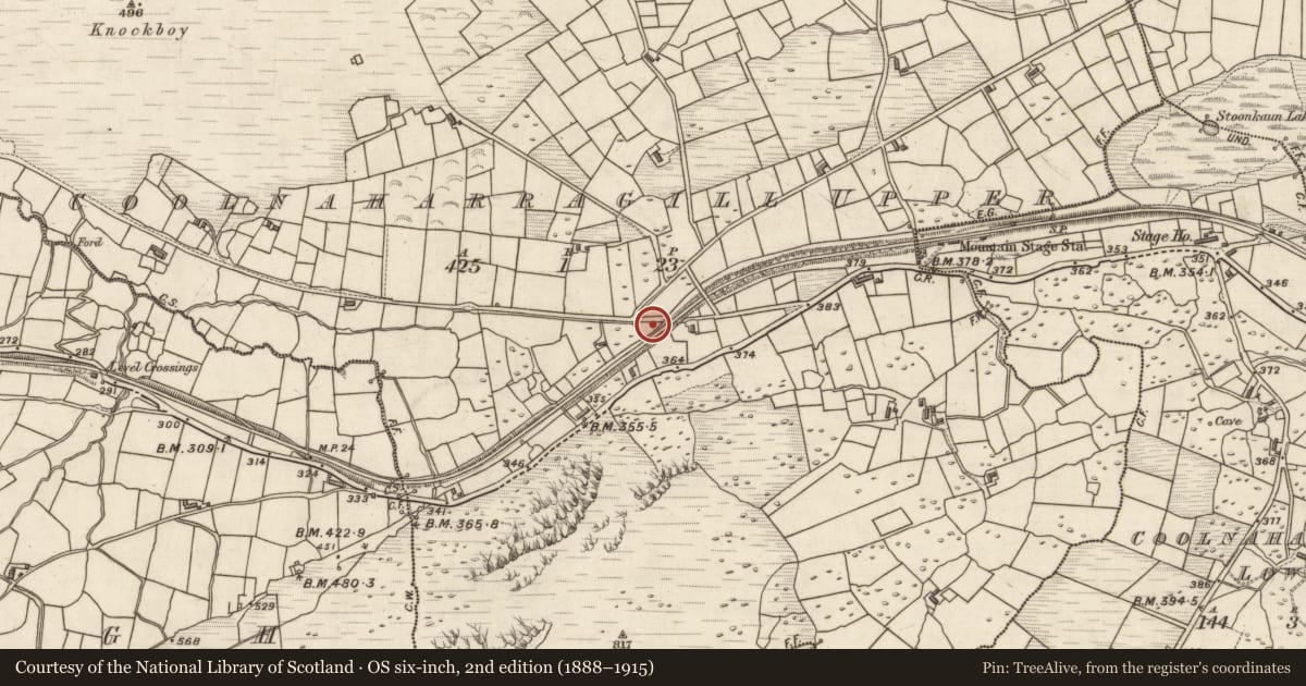Ordnance Survey six-inch map, 2nd edition (1888–1915) covering the location of Rock art, Coolnaharragill Upper, County Kerry, with a pin at the register's coordinates