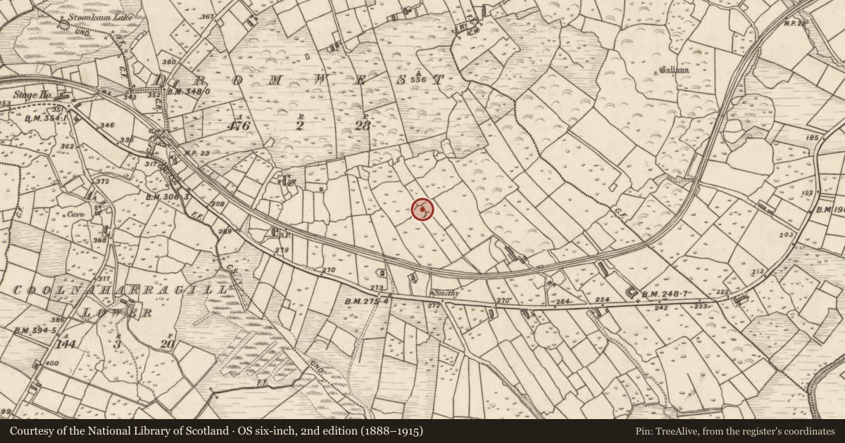 Ordnance Survey six-inch map, 2nd edition (1888–1915) covering the location of Enclosure, Drom West, County Kerry, with a pin at the register's coordinates