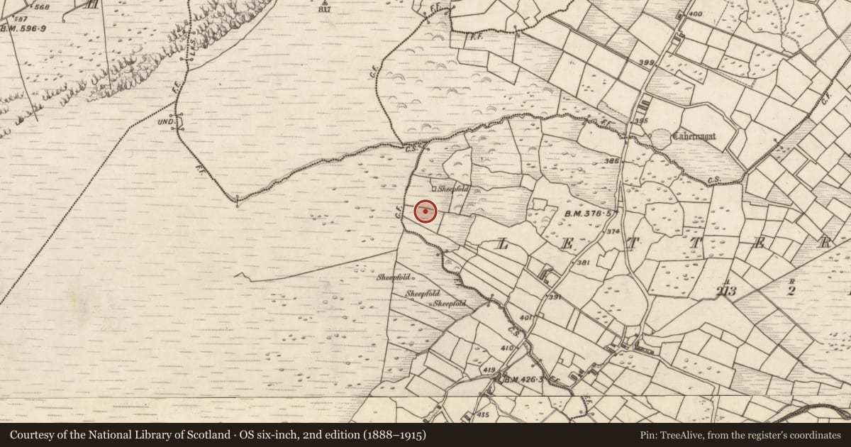 Ordnance Survey six-inch map, 2nd edition (1888–1915) covering the location of Hut site, Letter East, County Kerry, with a pin at the register's coordinates