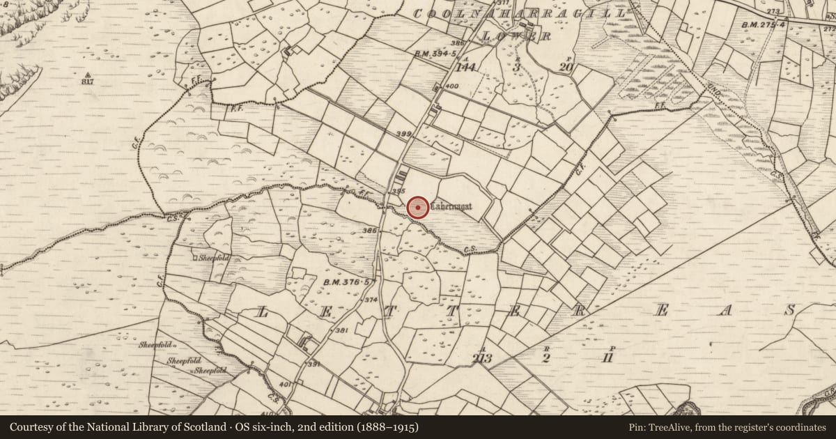 Ordnance Survey six-inch map, 2nd edition (1888–1915) covering the location of Ringfort - cashel, Coolnaharragill Lower, County Kerry, with a pin at the register's coordinates