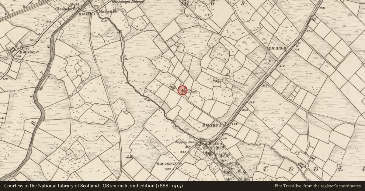 Ordnance Survey six-inch map, 2nd edition (1888–1915) covering the location of Standing stone, Coolroe Lower, County Kerry, with a pin at the register's coordinates