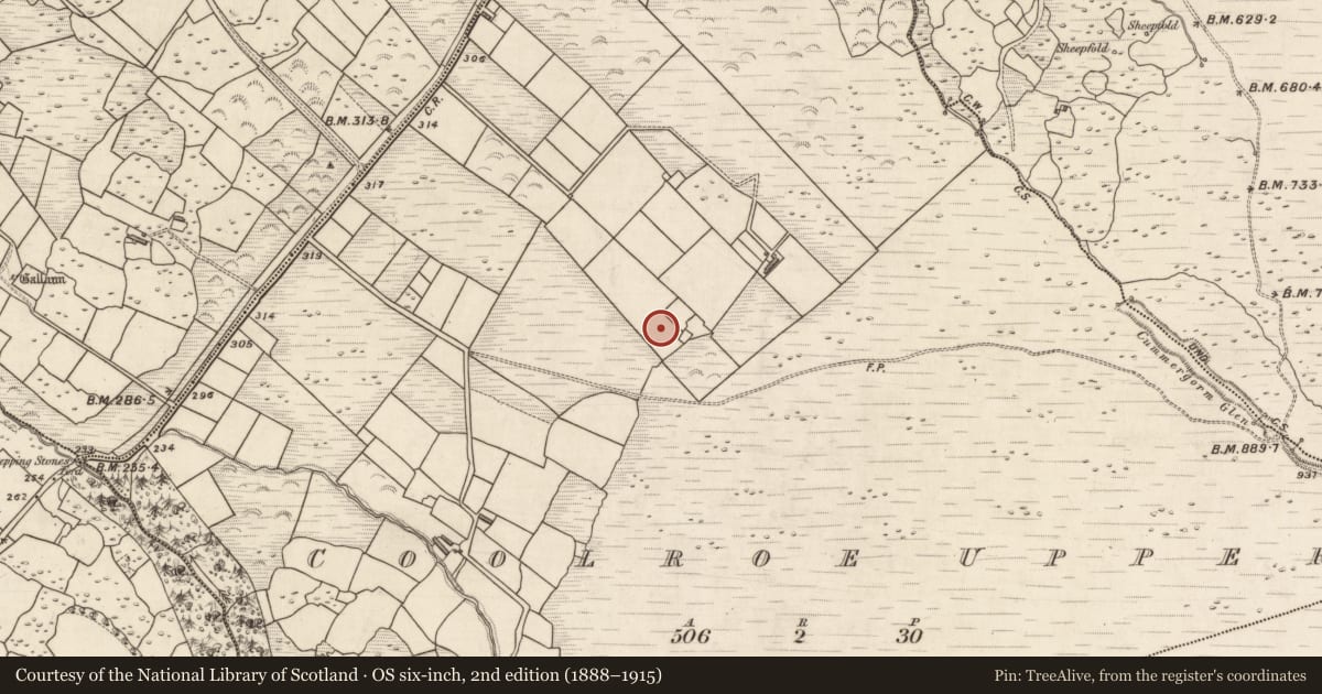 Ordnance Survey six-inch map, 2nd edition (1888–1915) covering the location of Ringfort - rath, Coolroe Upper, County Kerry, with a pin at the register's coordinates