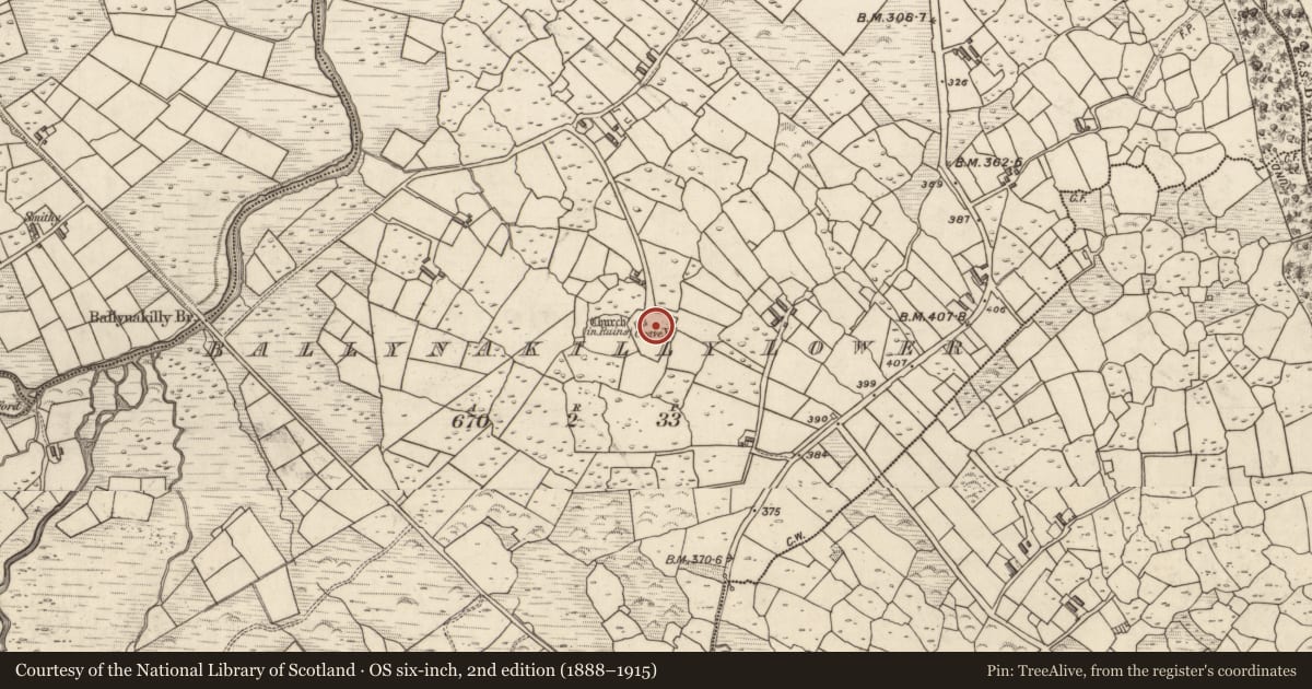 Ordnance Survey six-inch map, 2nd edition (1888–1915) covering the location of Graveyard, Ballynakilly Lower, County Kerry, with a pin at the register's coordinates