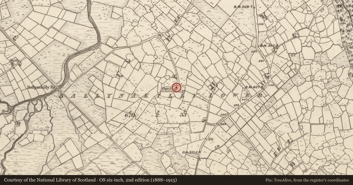 Ordnance Survey six-inch map, 2nd edition (1888–1915) covering the location of Graveslab, Ballynakilly Lower, County Kerry, with a pin at the register's coordinates