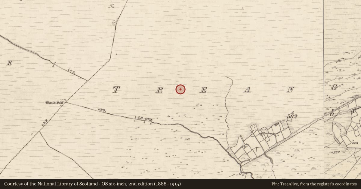 Ordnance Survey six-inch map, 2nd edition (1888–1915) covering the location of Field boundary, Treangarriv, County Kerry, with a pin at the register's coordinates