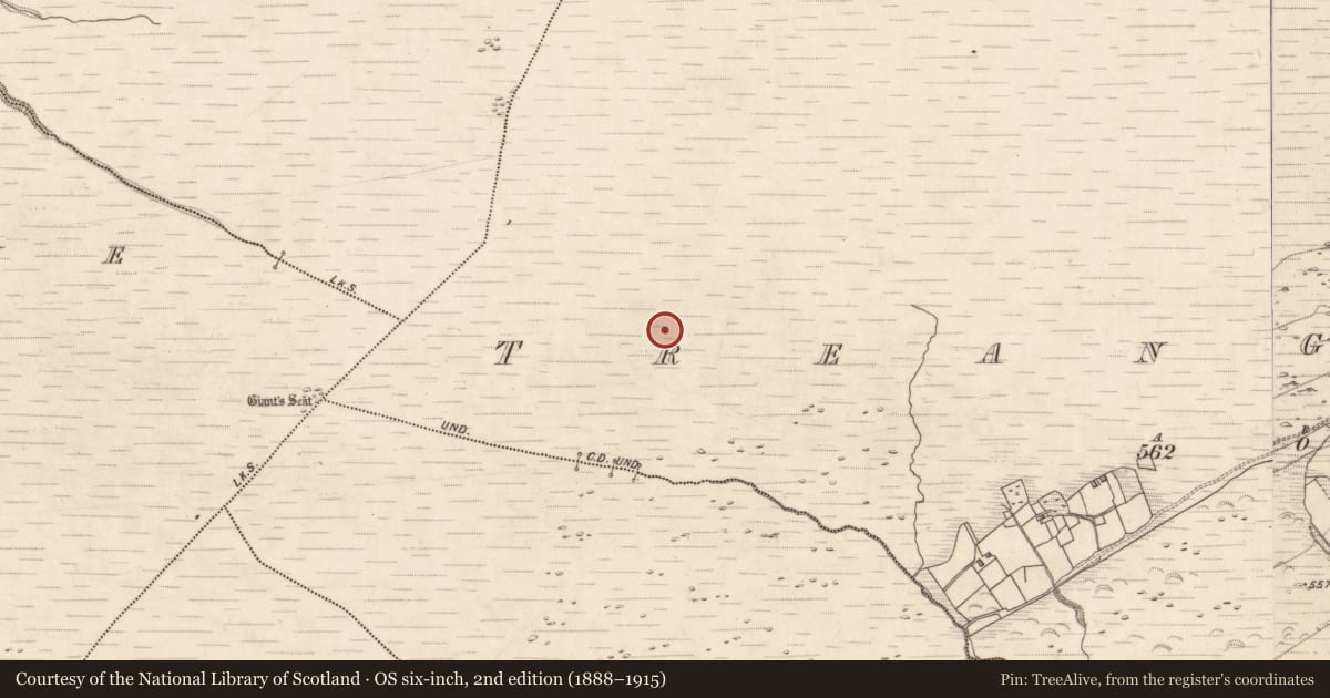 Ordnance Survey six-inch map, 2nd edition (1888–1915) covering the location of Hut site, Treangarriv, County Kerry, with a pin at the register's coordinates