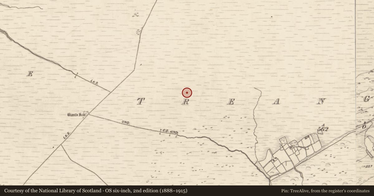 Ordnance Survey six-inch map, 2nd edition (1888–1915) covering the location of Enclosure, Treangarriv, County Kerry, with a pin at the register's coordinates