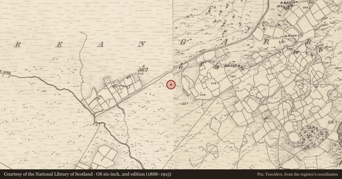 Ordnance Survey six-inch map, 2nd edition (1888–1915) covering the location of Hut site, Treangarriv, County Kerry, with a pin at the register's coordinates