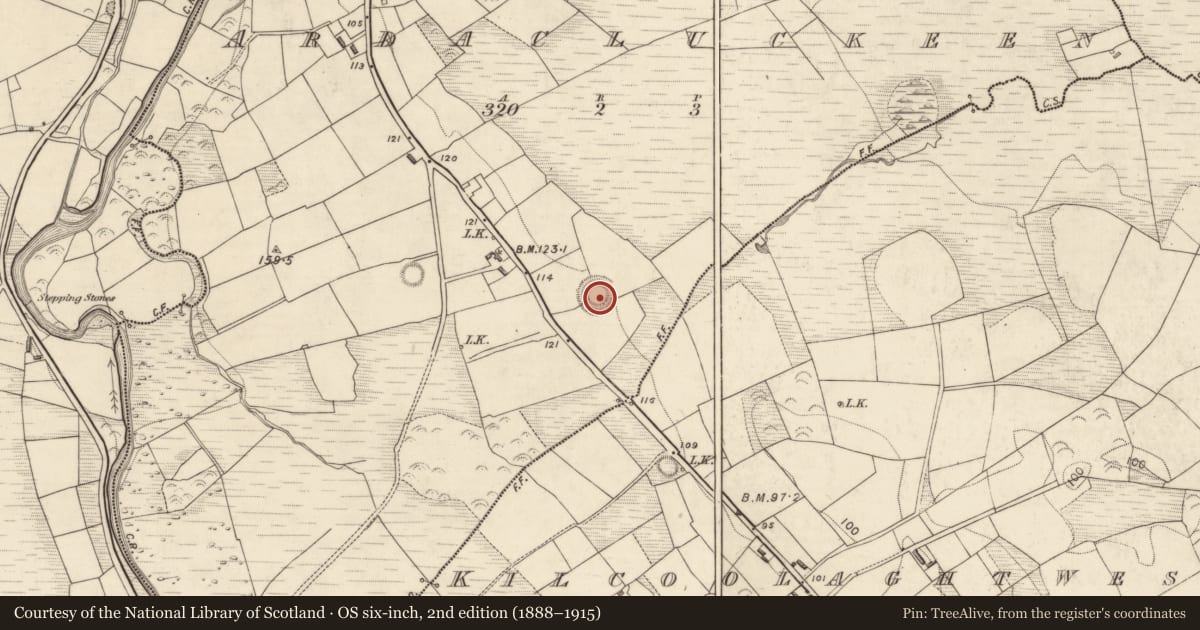 Ordnance Survey six-inch map, 2nd edition (1888–1915) covering the location of Ringfort - rath, Ardacluckeen, County Kerry, with a pin at the register's coordinates