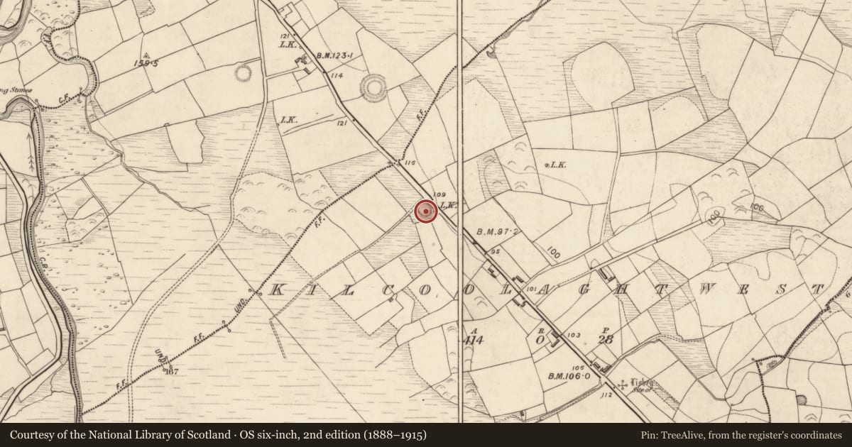 Ordnance Survey six-inch map, 2nd edition (1888–1915) covering the location of Ringfort - rath, Kilcoolaght West, County Kerry, with a pin at the register's coordinates