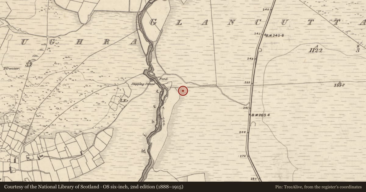 Ordnance Survey six-inch map, 2nd edition (1888–1915) covering the location of Field boundary, Glancuttaun Lower, Gortloughra, County Kerry, with a pin at the register's coordinates