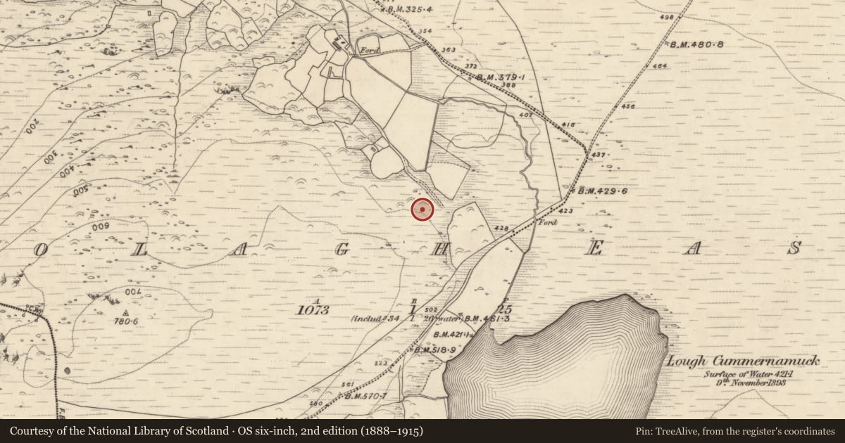 Ordnance Survey six-inch map, 2nd edition (1888–1915) covering the location of Field boundary, Oolagh East, County Kerry, with a pin at the register's coordinates