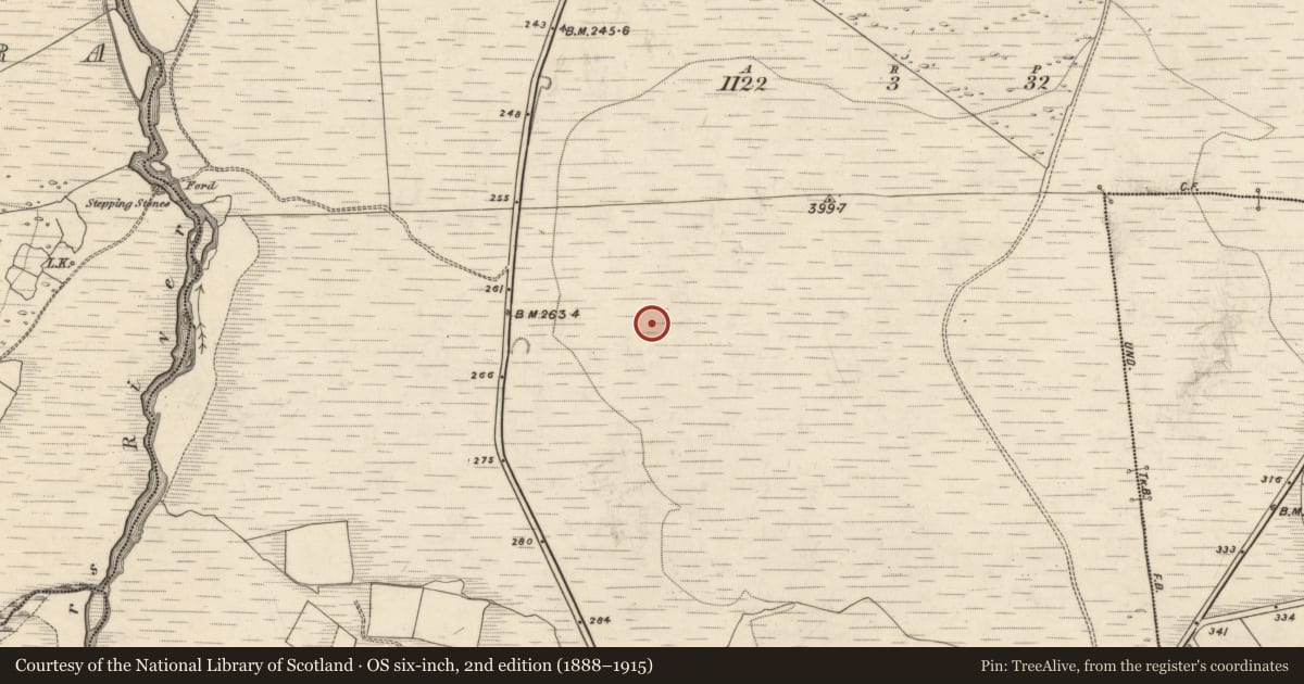 Ordnance Survey six-inch map, 2nd edition (1888–1915) covering the location of Field boundary, Glancuttaun Lower, County Kerry, with a pin at the register's coordinates