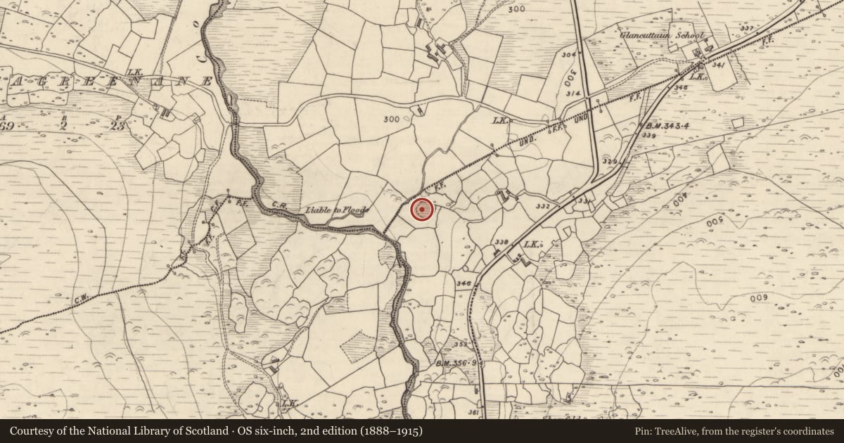Ordnance Survey six-inch map, 2nd edition (1888–1915) covering the location of Ringfort - rath, Glancuttaun Upper, County Kerry, with a pin at the register's coordinates