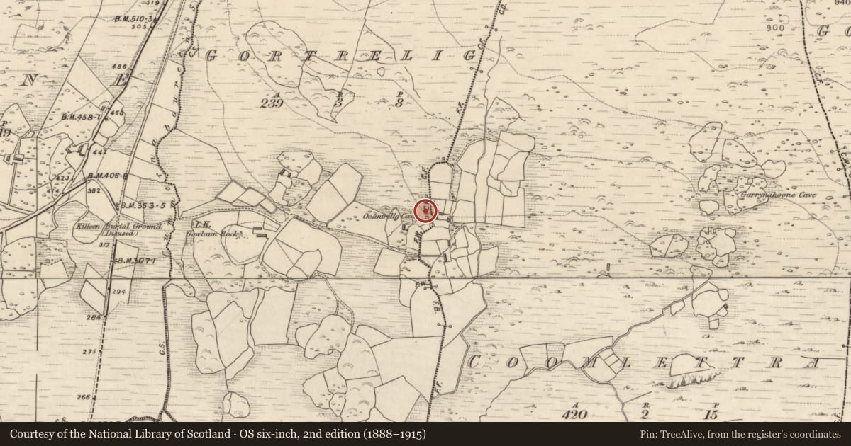 Ordnance Survey six-inch map, 2nd edition (1888–1915) covering the location of Souterrain, Gortrelig, County Kerry, with a pin at the register's coordinates