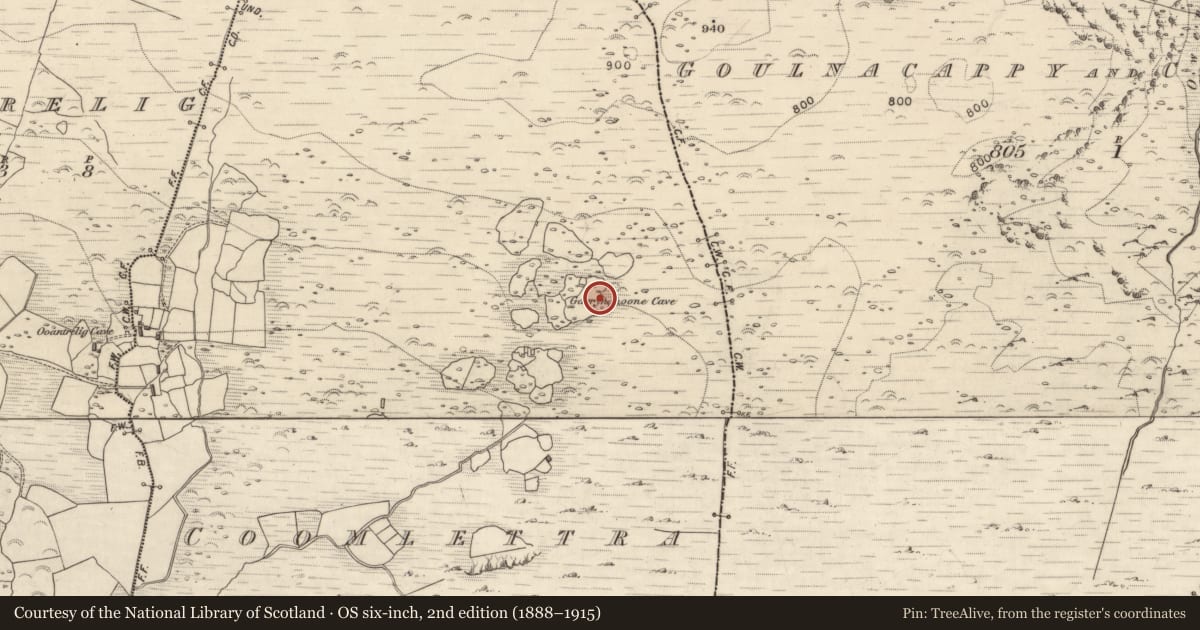 Ordnance Survey six-inch map, 2nd edition (1888–1915) covering the location of Souterrain, Coomlettra, County Kerry, with a pin at the register's coordinates