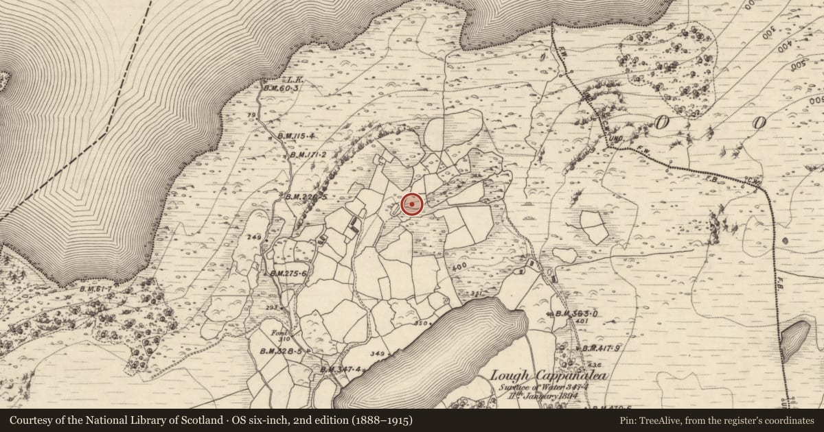Ordnance Survey six-inch map, 2nd edition (1888–1915) covering the location of Hut site, Oolagh West, County Kerry, with a pin at the register's coordinates