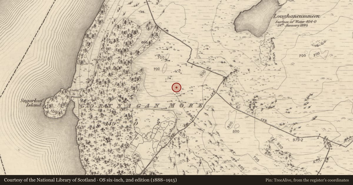 Ordnance Survey six-inch map, 2nd edition (1888–1915) covering the location of Hut site, Gortnagan More, County Kerry, with a pin at the register's coordinates