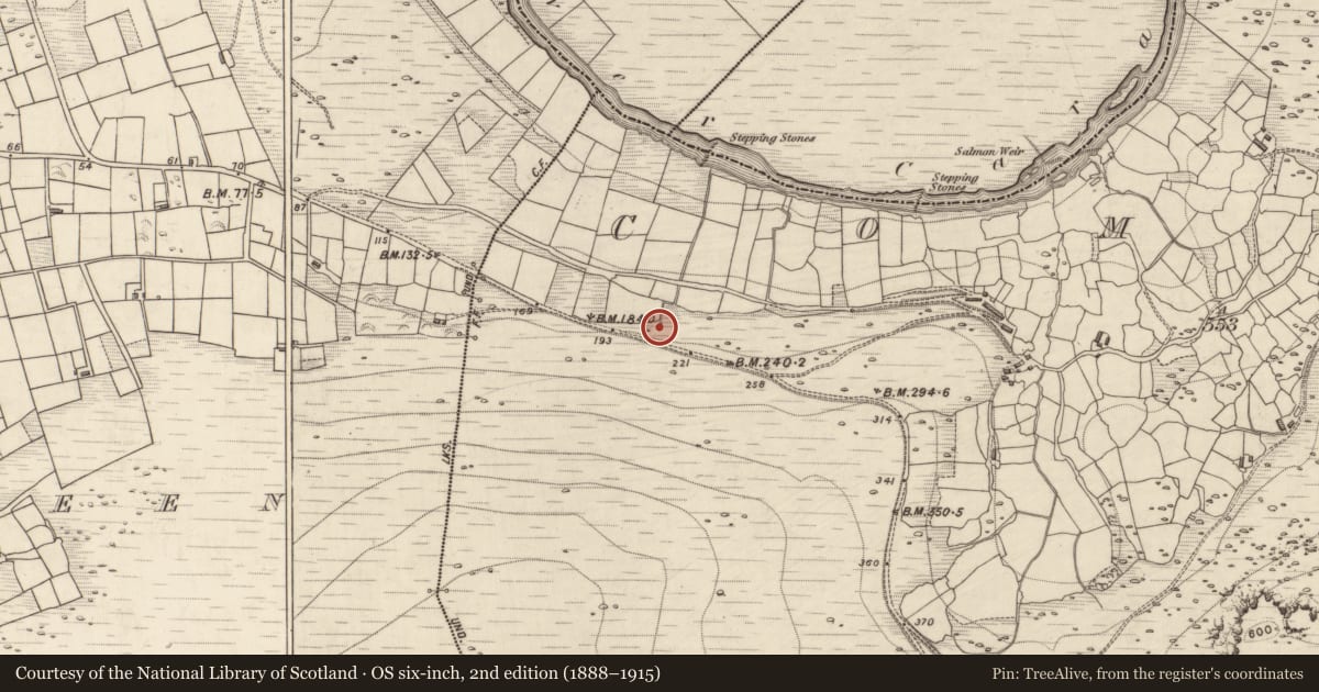 Ordnance Survey six-inch map, 2nd edition (1888–1915) covering the location of Ritual site - holy well, Commaun, County Kerry, with a pin at the register's coordinates