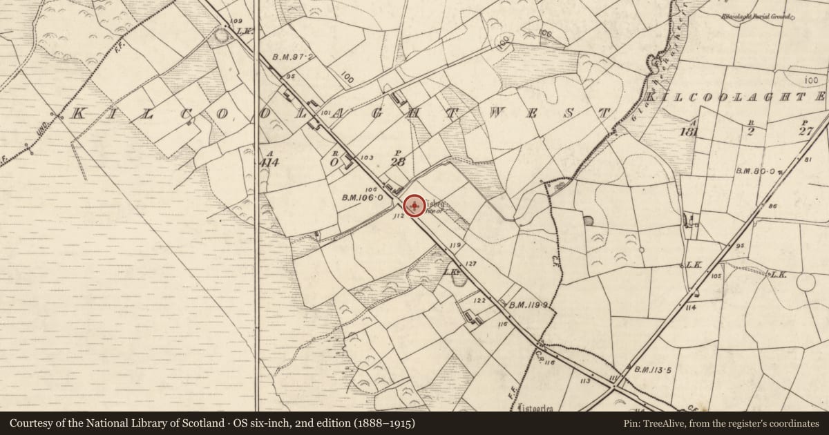 Ordnance Survey six-inch map, 2nd edition (1888–1915) covering the location of Ringfort - rath, Kilcoolaght West, County Kerry, with a pin at the register's coordinates