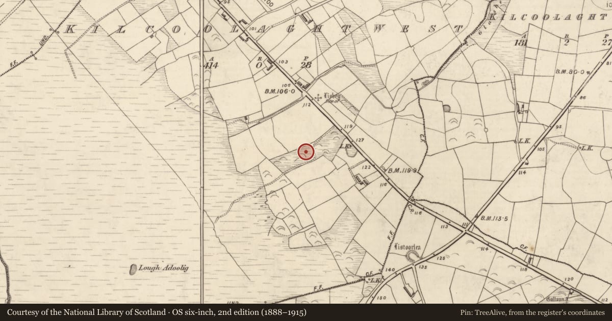 Ordnance Survey six-inch map, 2nd edition (1888–1915) covering the location of Ringfort - rath, Kilcoolaght West, County Kerry, with a pin at the register's coordinates