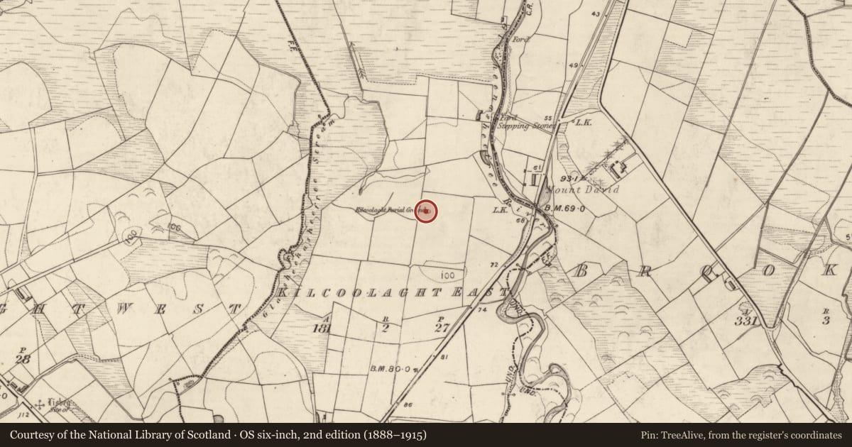 Ordnance Survey six-inch map, 2nd edition (1888–1915) covering the location of Ogham stone, Kilcoolaght East, County Kerry, with a pin at the register's coordinates