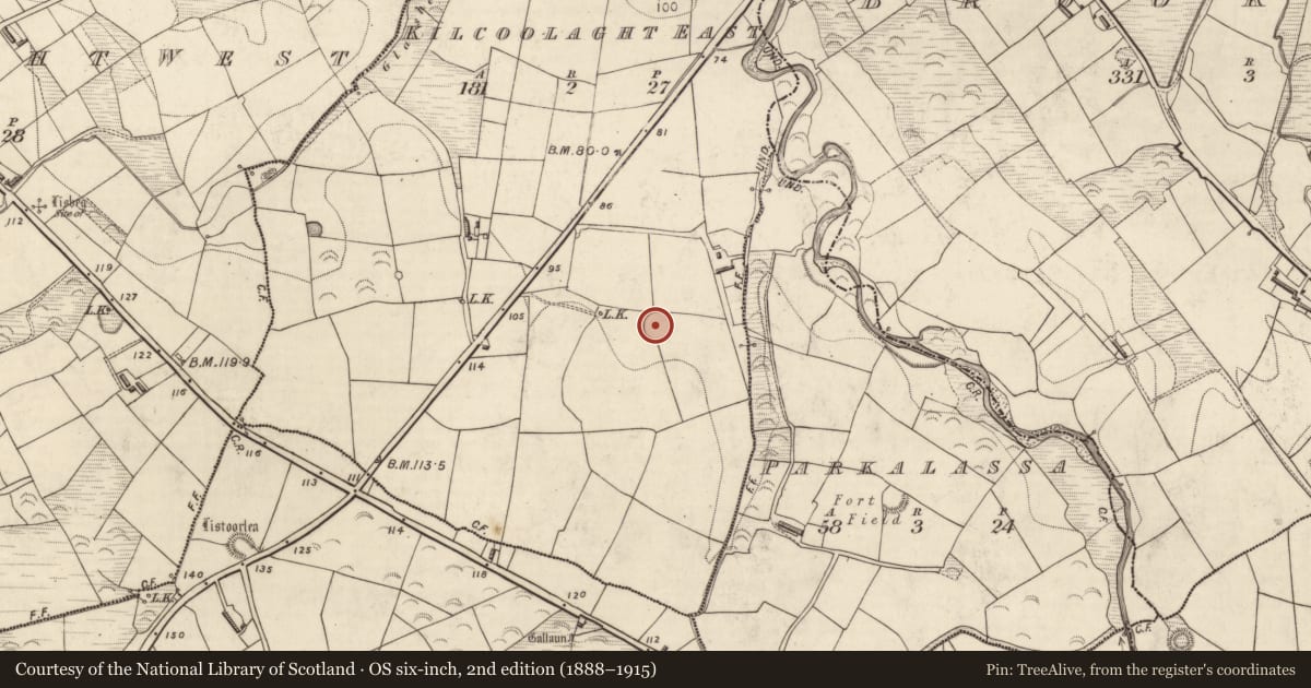 Ordnance Survey six-inch map, 2nd edition (1888–1915) covering the location of Ringfort - rath, Kilcoolaght East, County Kerry, with a pin at the register's coordinates