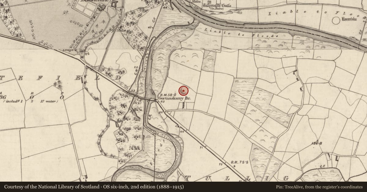 Ordnance Survey six-inch map, 2nd edition (1888–1915) covering the location of Souterrain, Tullig, County Kerry, with a pin at the register's coordinates