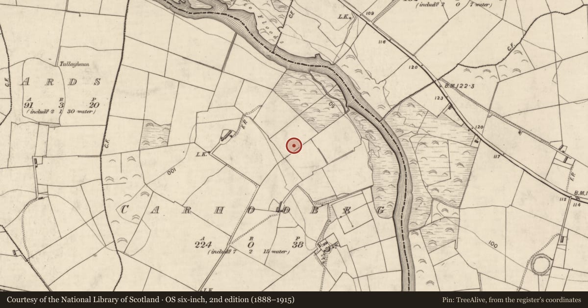 Ordnance Survey six-inch map, 2nd edition (1888–1915) covering the location of Fulacht fia, Carhoobeg, County Kerry, with a pin at the register's coordinates