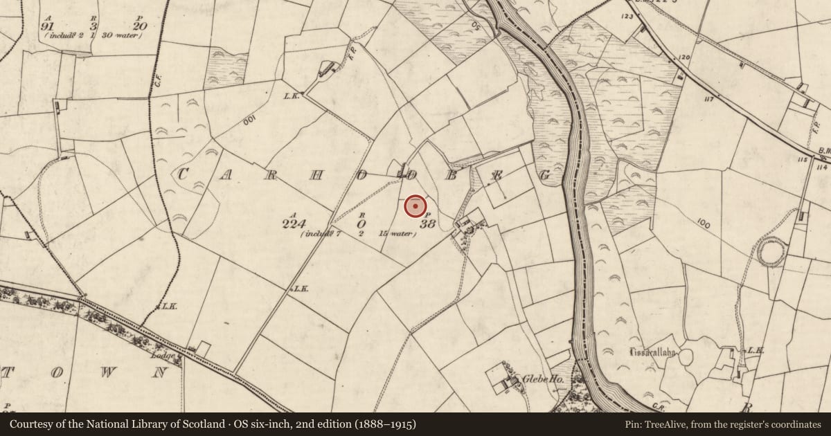 Ordnance Survey six-inch map, 2nd edition (1888–1915) covering the location of Ringfort - rath, Carhoobeg, County Kerry, with a pin at the register's coordinates