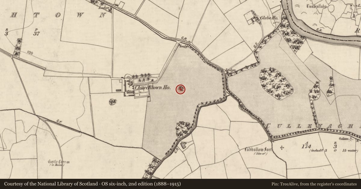 Ordnance Survey six-inch map, 2nd edition (1888–1915) covering the location of Enclosure, Churchtown, County Kerry, with a pin at the register's coordinates