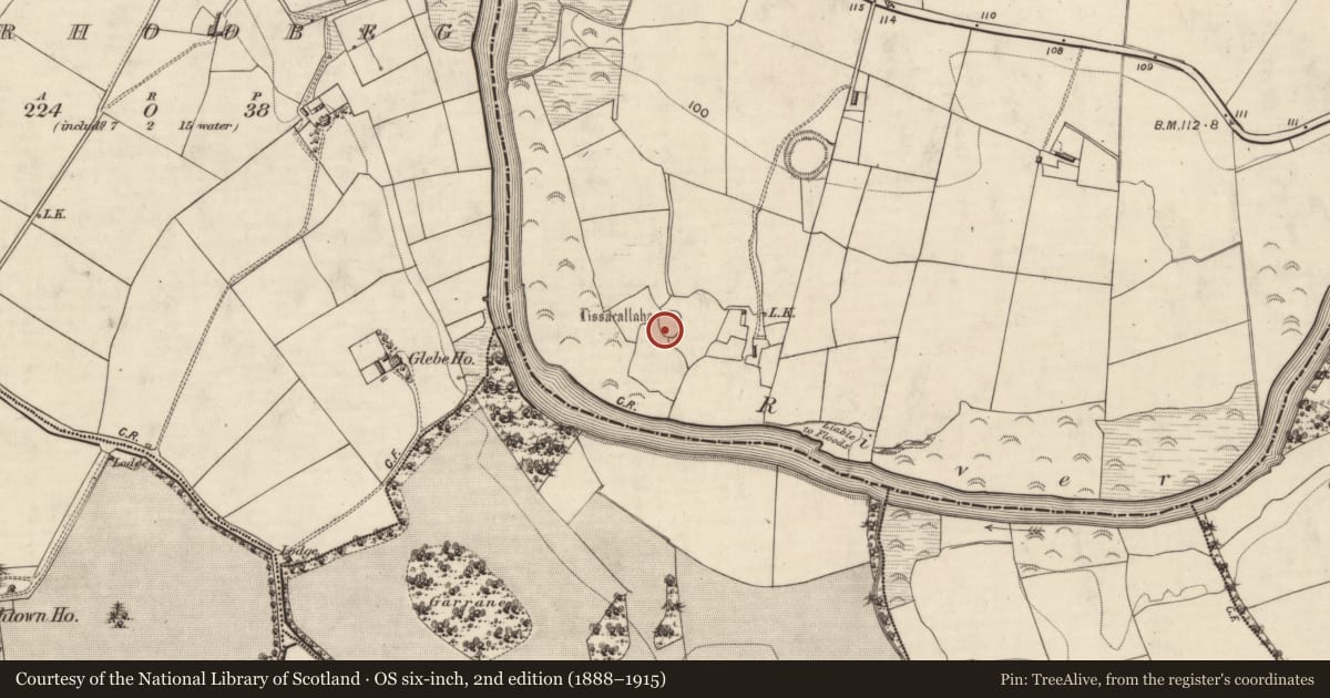 Ordnance Survey six-inch map, 2nd edition (1888–1915) covering the location of Ringfort - rath, Lahard, County Kerry, with a pin at the register's coordinates