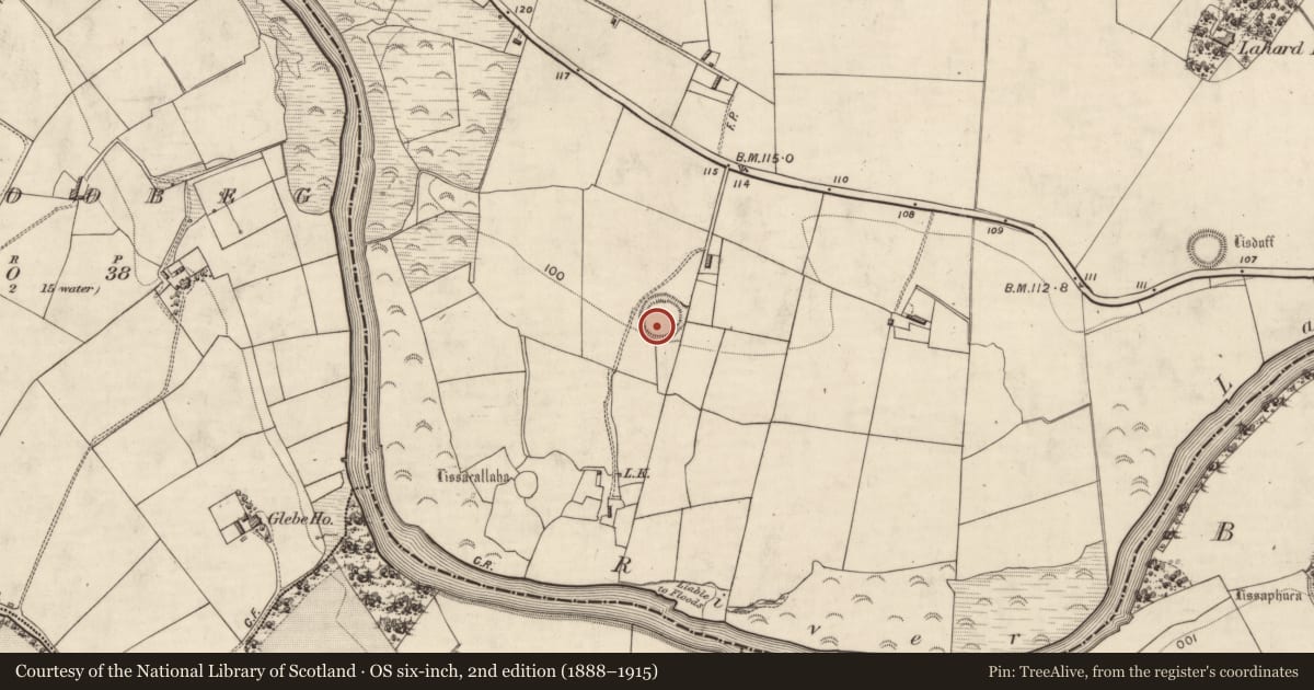 Ordnance Survey six-inch map, 2nd edition (1888–1915) covering the location of Ringfort - rath, Lahard, County Kerry, with a pin at the register's coordinates