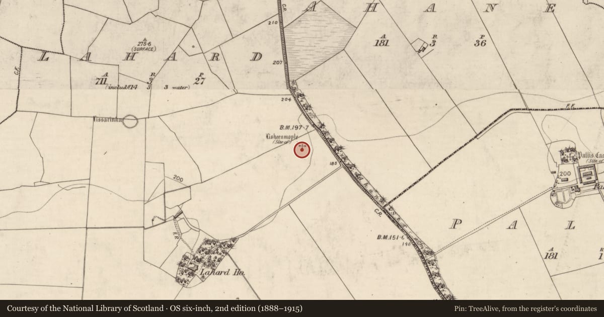 Ordnance Survey six-inch map, 2nd edition (1888–1915) covering the location of Ringfort - rath, Lahard, County Kerry, with a pin at the register's coordinates
