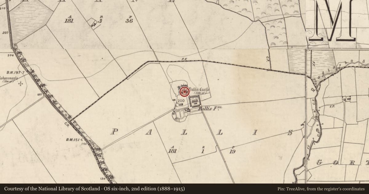 Ordnance Survey six-inch map, 2nd edition (1888–1915) covering the location of Castle - tower house, Pallis, County Kerry, with a pin at the register's coordinates
