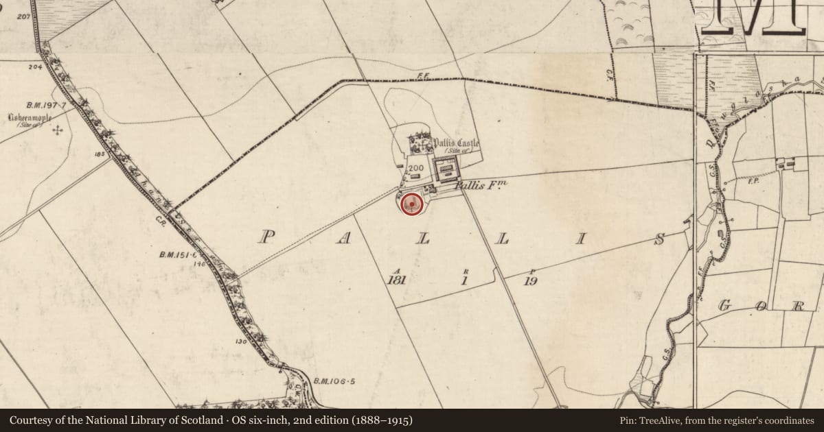 Ordnance Survey six-inch map, 2nd edition (1888–1915) covering the location of Ringfort - rath, Pallis, County Kerry, with a pin at the register's coordinates