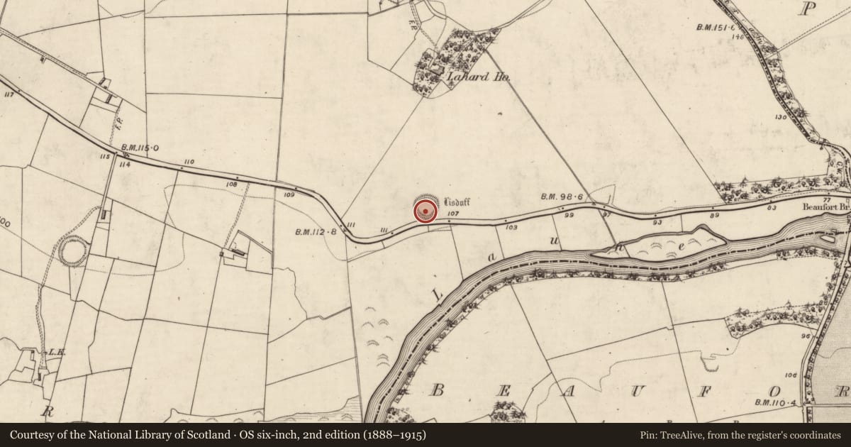 Ordnance Survey six-inch map, 2nd edition (1888–1915) covering the location of Ringfort - rath, Lahard, County Kerry, with a pin at the register's coordinates