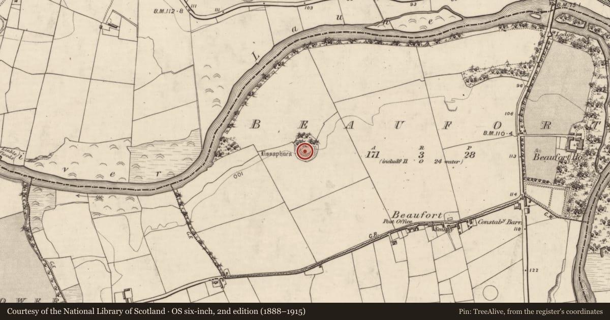 Ordnance Survey six-inch map, 2nd edition (1888–1915) covering the location of Ringfort - rath, Beaufort, County Kerry, with a pin at the register's coordinates