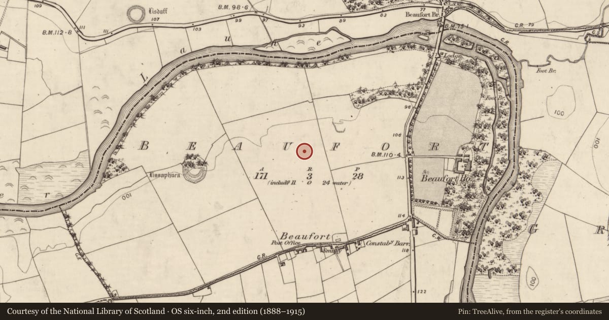 Ordnance Survey six-inch map, 2nd edition (1888–1915) covering the location of Souterrain, Beaufort, County Kerry, with a pin at the register's coordinates