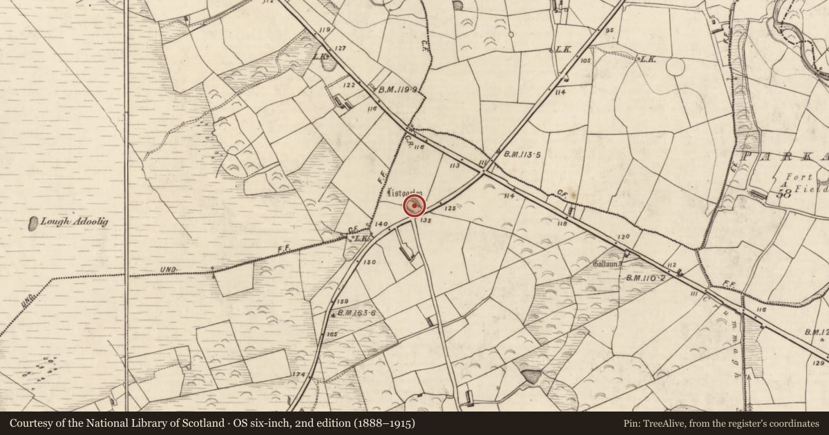 Ordnance Survey six-inch map, 2nd edition (1888–1915) covering the location of Ringfort - rath, Shannera Lower, County Kerry, with a pin at the register's coordinates