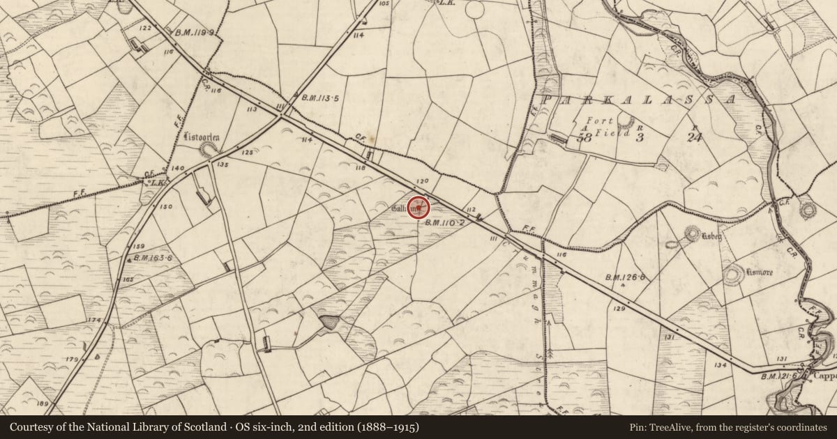Ordnance Survey six-inch map, 2nd edition (1888–1915) covering the location of Standing stone, Shannera Lower, County Kerry, with a pin at the register's coordinates