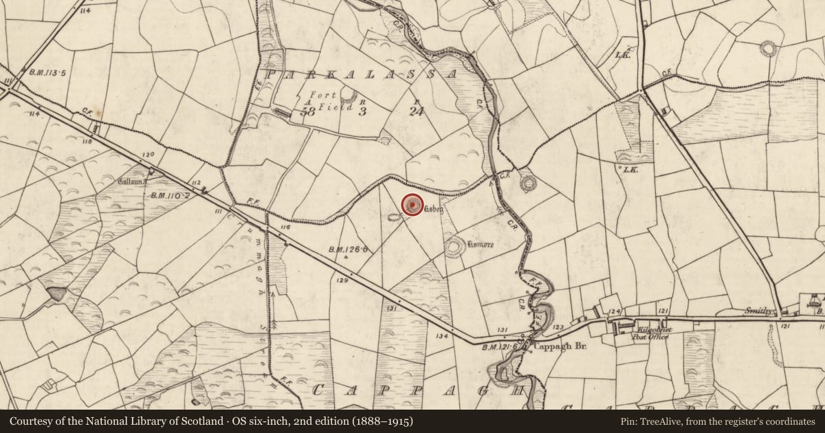Ordnance Survey six-inch map, 2nd edition (1888–1915) covering the location of Ringfort - rath, Cappagh (Dunkerron North By., Killoglin Par.), County Kerry, with a pin at the register's coordinates